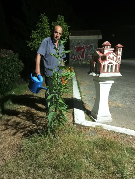 Facebook Image