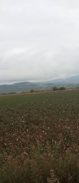 93ο: Το καθεστώς γαιοκτησίας στο Φανάρι Ιθώμης την... Facebook Image
