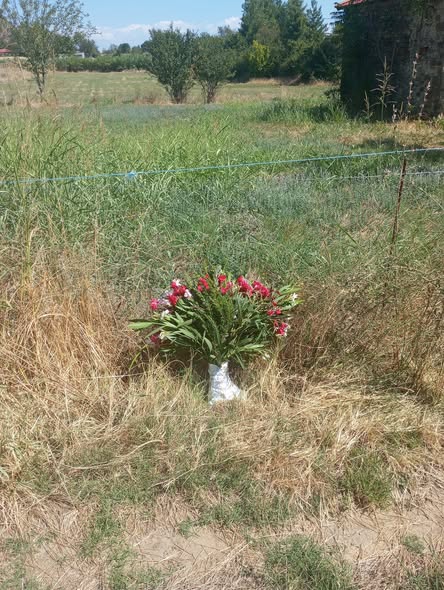 Οικονομική ενίσχυση για τη δημιουργία αναμνηστικής πλάκας με... Facebook Image