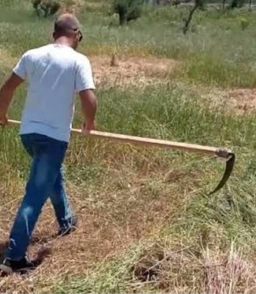 125ο: Η ιστορία εκτροφής των περίφημων βουβαλιών, αγελάδων... Facebook Image