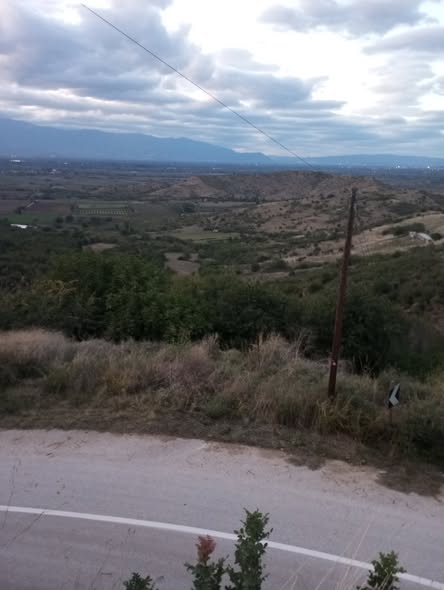 Facebook Image