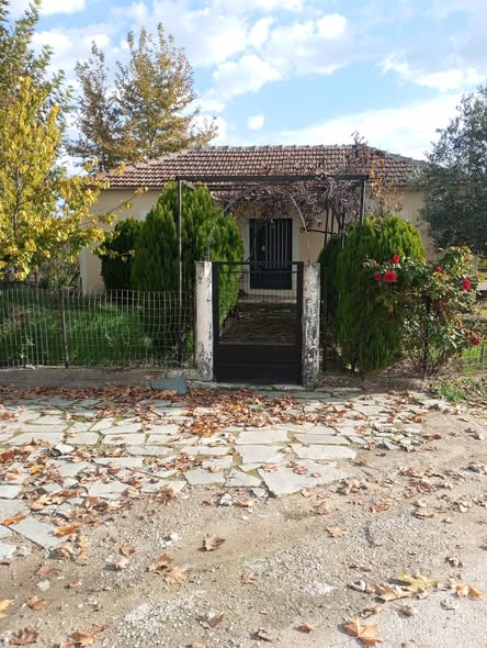 134ο: Η ιστορία των καταστημάτων αναψυχής, εστίασης και... Facebook Image