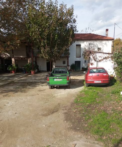 136ο: Τα περίφημα κωτινέικα ντάμια του Κομπέλου Φαναρίου... Facebook Image