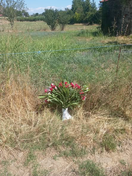 Οικονομική Ενίσχυση για τη Δημιουργία Μνημείου με τα... Facebook Image