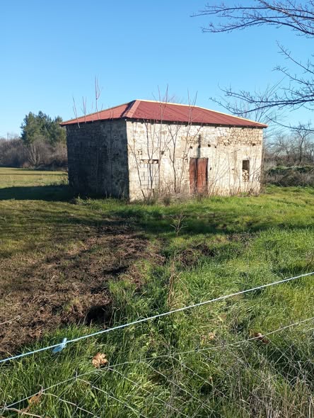 141ο: Τα ανεπίσημα σφαγεία του Κομπέλου Φαναρίου και... Facebook Image