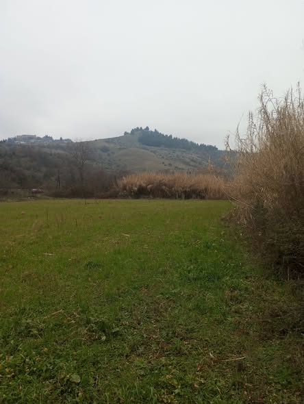 142ο: Η ξακουστή "λίμνη - ιχθυοτροφείο τού Θανόπουλου"... Facebook Image