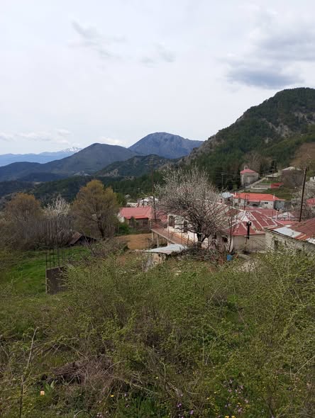 165ο: Οικογένεια Γεράση: Από τη Στράτσιανη της Κόνιτσας... Facebook Image
