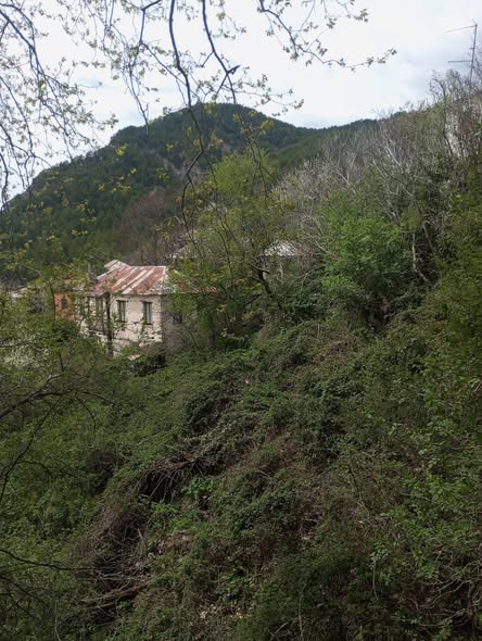 170ο: Το ταξίδι της ευρείας οικογένειας Λιούλιου: Από... Facebook Image